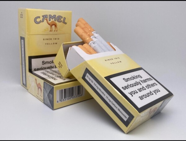 Camel KS — изображение 3