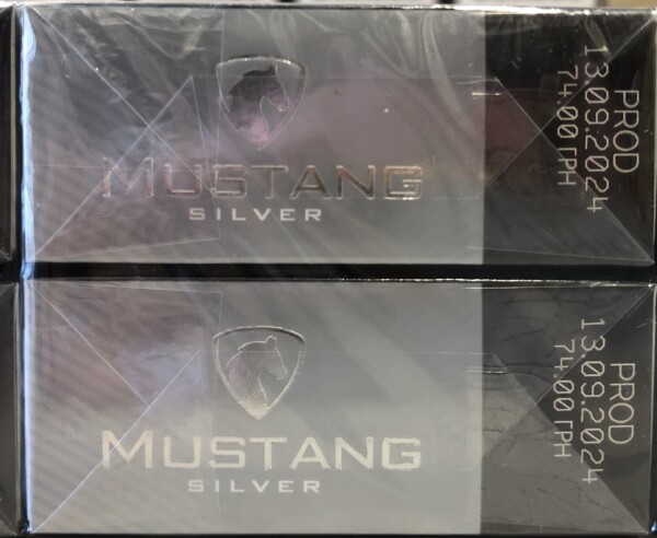 Mustang KS Silver (акциз) — изображение 7