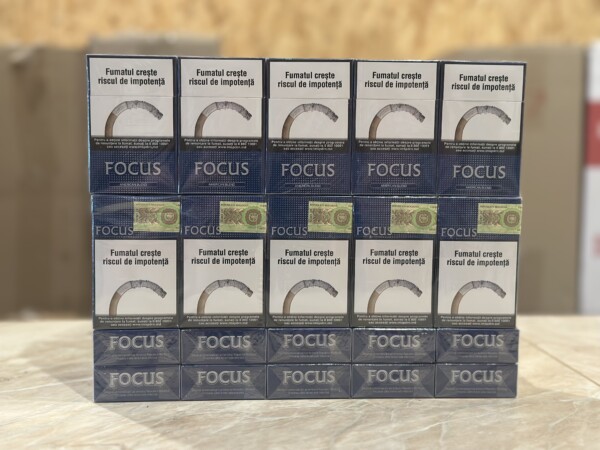 Focus KS — изображение 4